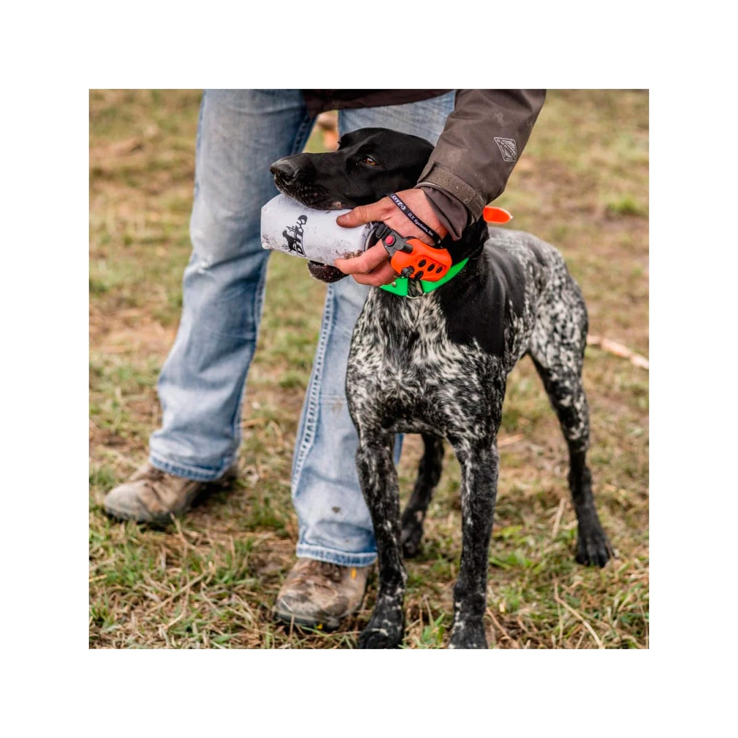 DT Systems Super Pro Durable Resistant Shock-Absorbing Reduced Recoil Gun Sound Bird Simulation Waterfowl Upland Hunting Dog Training Dummy Launcher with Water-Repellent Floating Scent-Holding Dummy