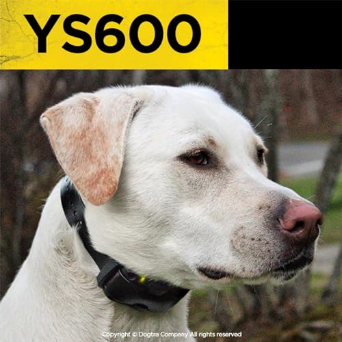 Dogtra YS600 Rechargeable Waterproof High-Output No Bark Collar