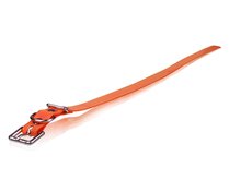 Dogtra Strap 3/4"X28"