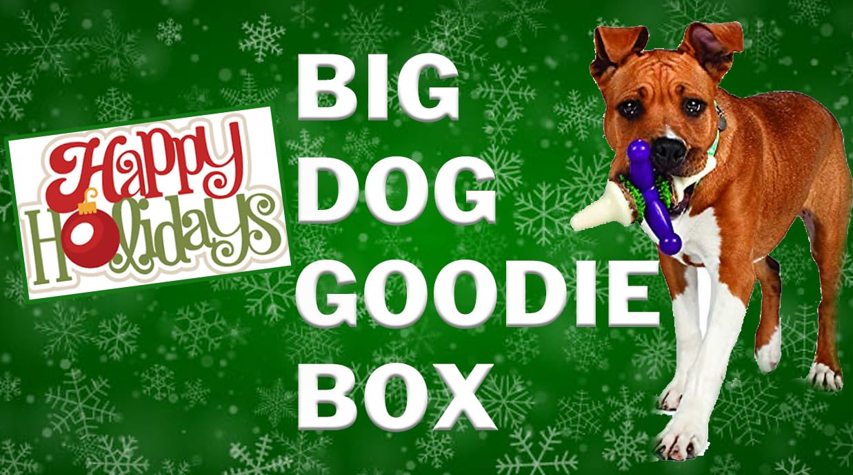 Dog Adoption, Birthday Large Dog Spa Gift Set, 5 Pieces: 32 oz Big Dog Water/Food Bowl, Grooming Gloves, 2-10" Natural Rawhide- No Flavor Retreiver Dog Chew Bones and 3 Surprises for Your Dog!