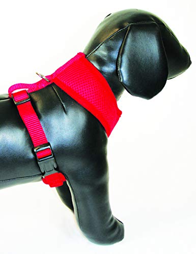 Foxy Pet Co Breezy Mesh Harness Plus Leash Dog Gift Set- 5 Dog Sizes (Extra- Large, Red)