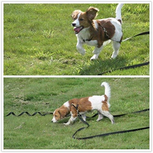 Foxy Pet Co OmniPet 3/4" x 4 ' Zeta Chain Lead/2.5mm Link with 3/4 Biothane Handle Strap- Black