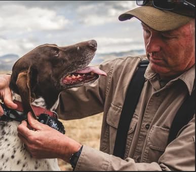 DT Systems Free Orange Pro Training Whistle and Micro IDT Plus Replacement or Add On Collar Receivers to Add on Dogs 2-3