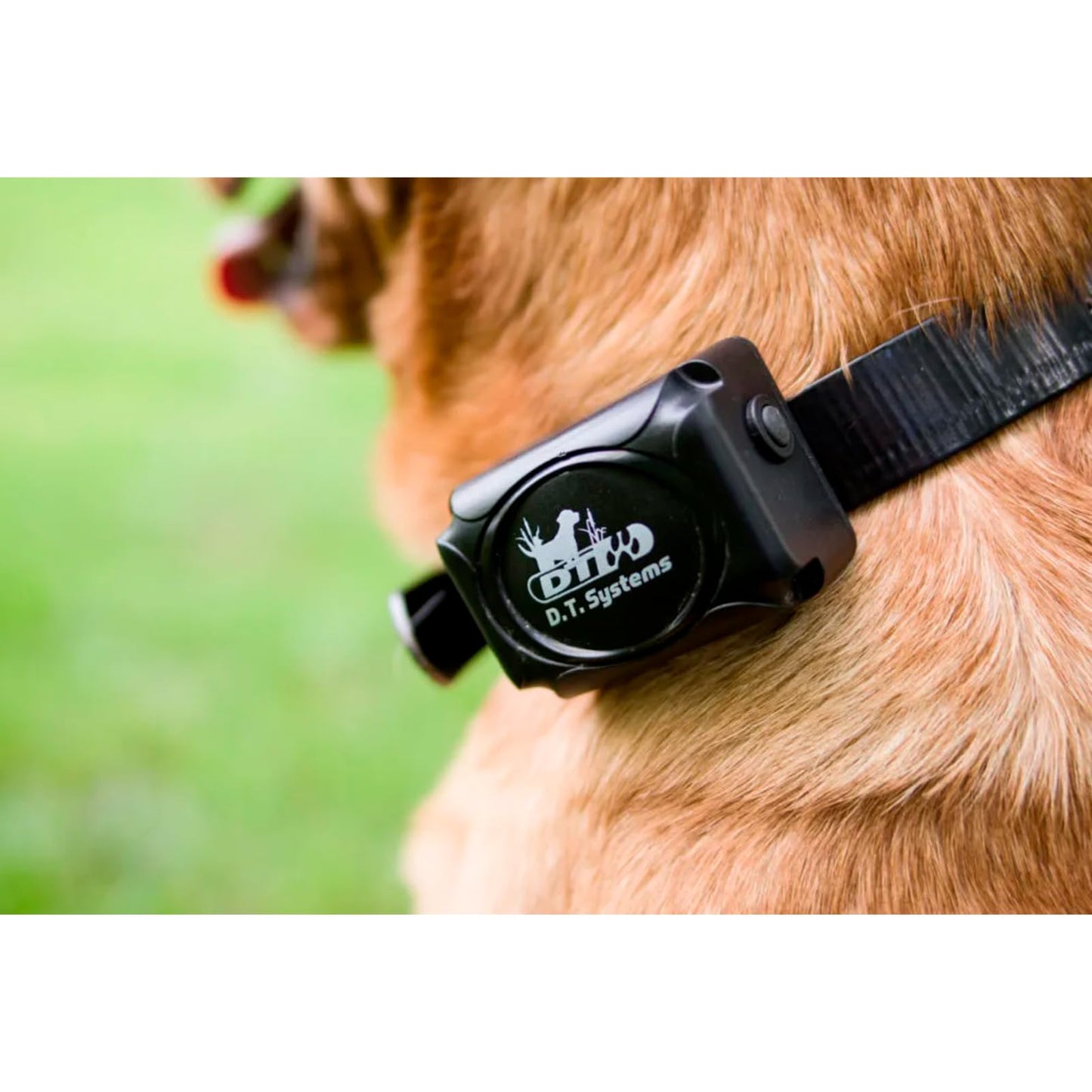 DT SYSTEMS H2O 1820 Plus Waterproof 8-23" Rechargeable Expandable Remote Dog Training Collar, 1800-Yard Range, 16 Stimulation Levels, Vibration Assist, Battery Included