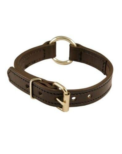 16" Brown Leather Center Ring 3/4″ Dog Collar