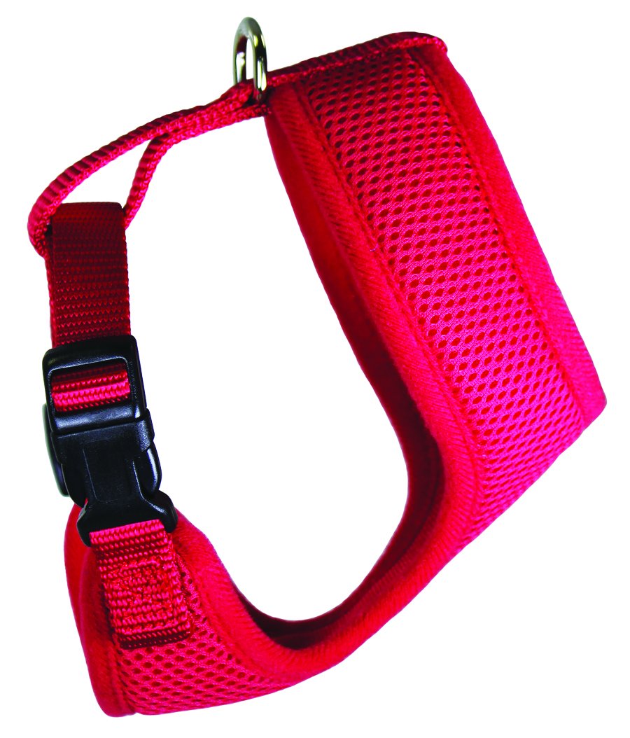 Foxy Pet Co Breezy Mesh Harness Plus Leash Dog Gift Set- 5 Dog Sizes (Extra- Large, Red)