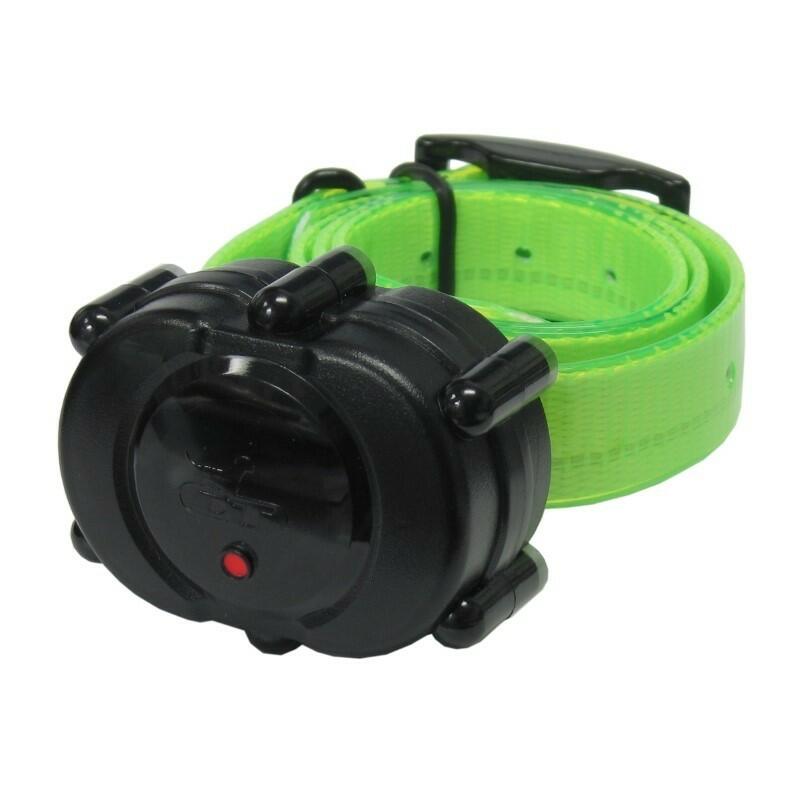 DT Systems Micro-iDT PLUS Add-On Collar Dog Receiver MAXX-Range 360 Green Strap