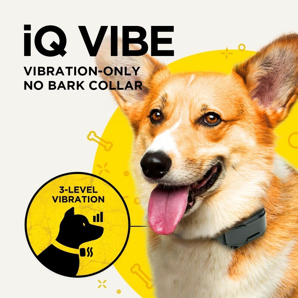 Dogtra iQVibe Vibration Only No Bark Waterproof Rechargeable Dog Collar 3 levels