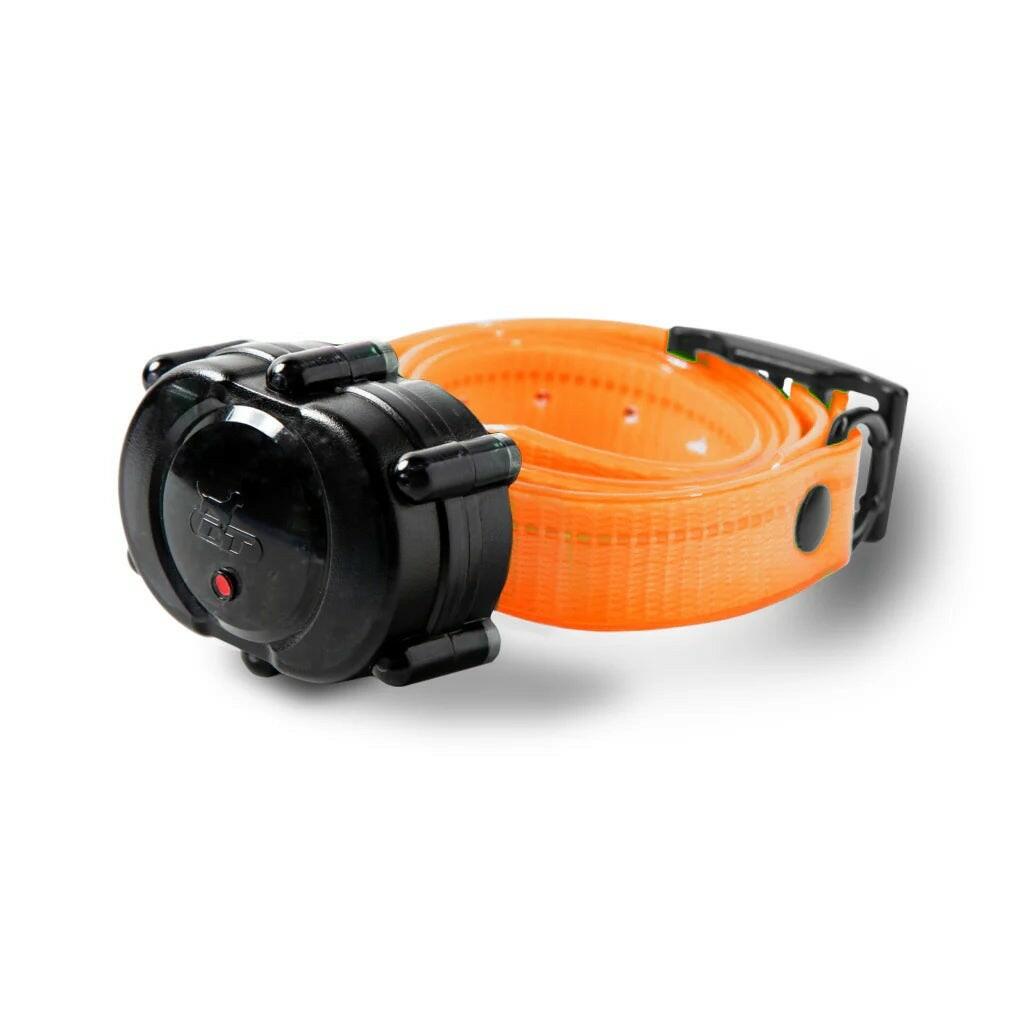 DT Systems Micro-iDT PLUS Add-On Collar Orange Strap Dog Receiver MAXX-Range 360