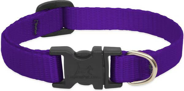 LupinePet Basic Solid Dog Collar, Purple, XX-Small: 6 to 9-in neck, 1/2-in wide