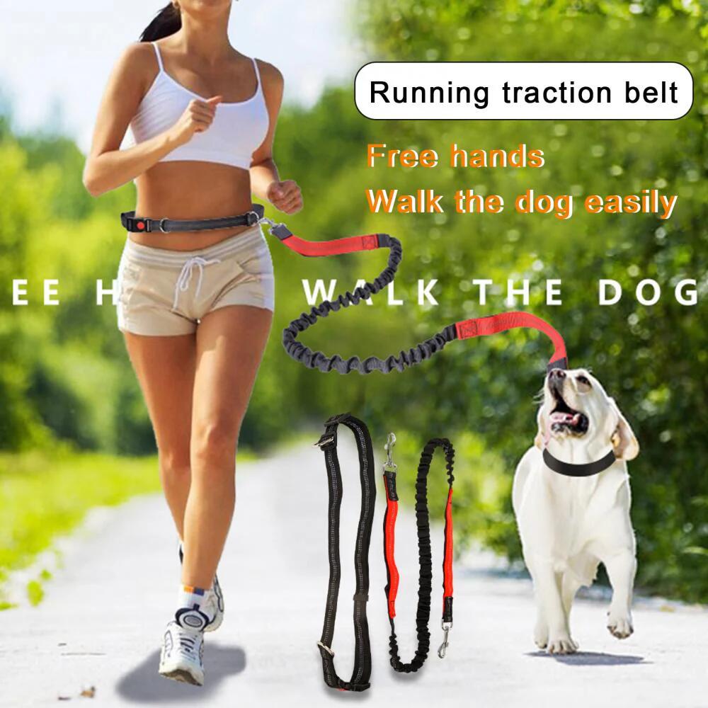 Elastic Breakaway Hands-Free Running Waist Leash