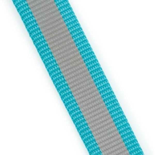 Guardian Gear Nylon Dog Leash, 4-Feet x 5/8-Inch Lead, Reflective Teal