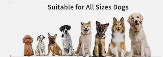Foxy Pet Co E-Collar Replacement Strap – 3/4" x 24" – Double Buckle, 2-Hole (1 5/8")