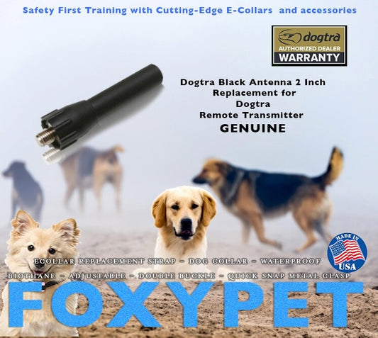 Dogtra Black Antenna 2 Inch Replacement for Dogtra Remote Transmitter GENUINE