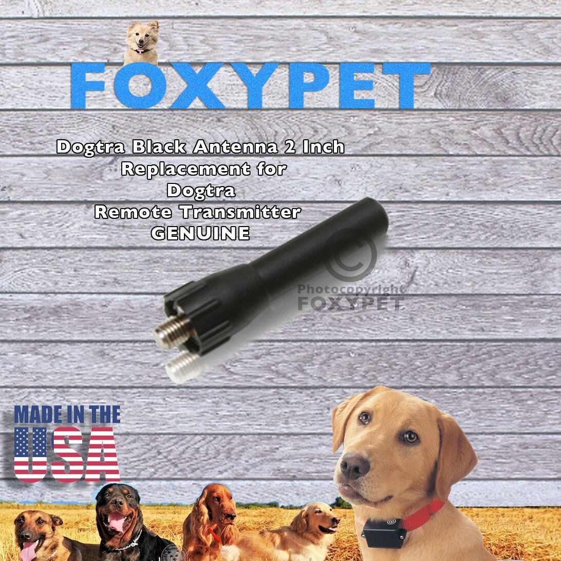 Dogtra Black Antenna 2 Inch Replacement for Dogtra Remote Transmitter GENUINE