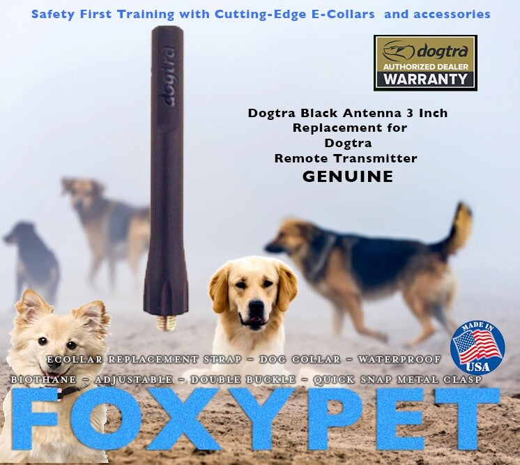 Dogtra Black Antenna 3 Inch Replacement for Dogtra Remote Transmitter GENUINE