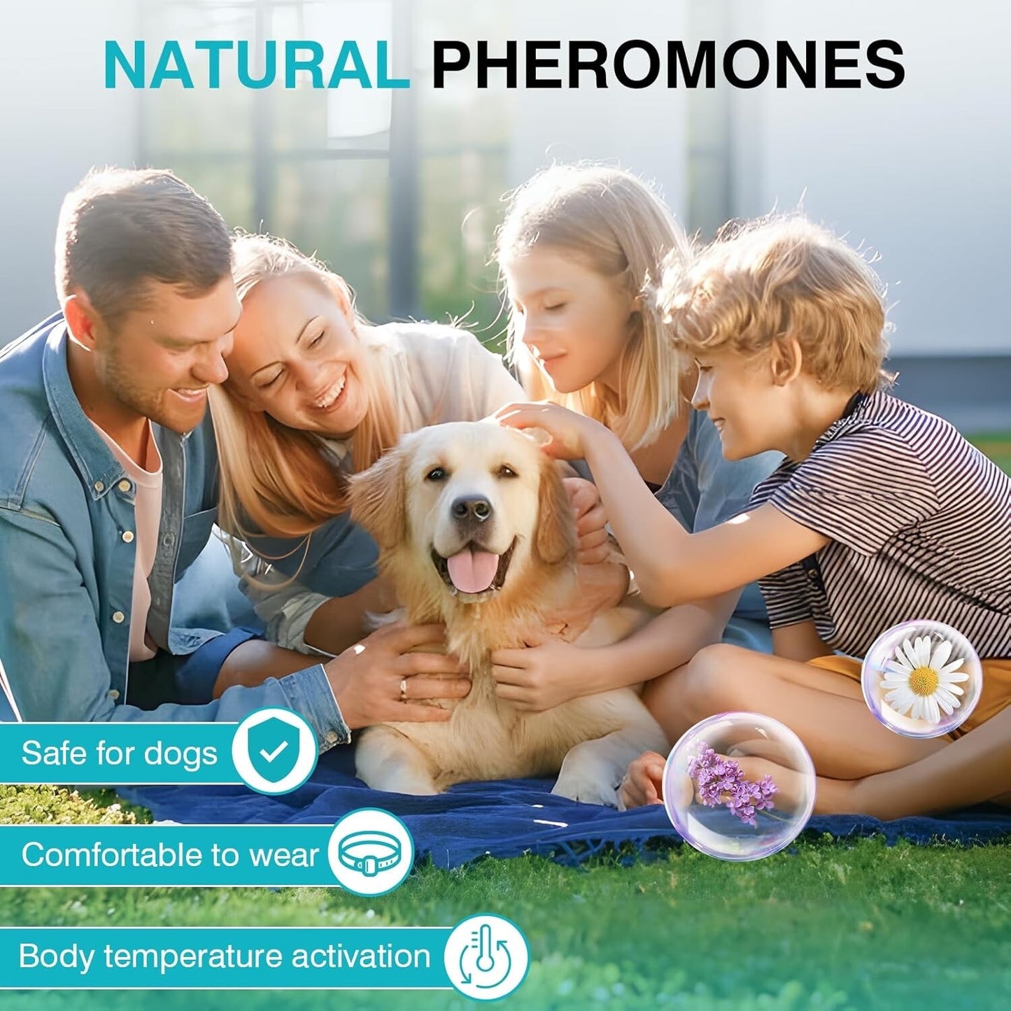 Calming 4 Pack Pheromones Anti Stress Anxiety Dog Collars-25 inch Waterproof