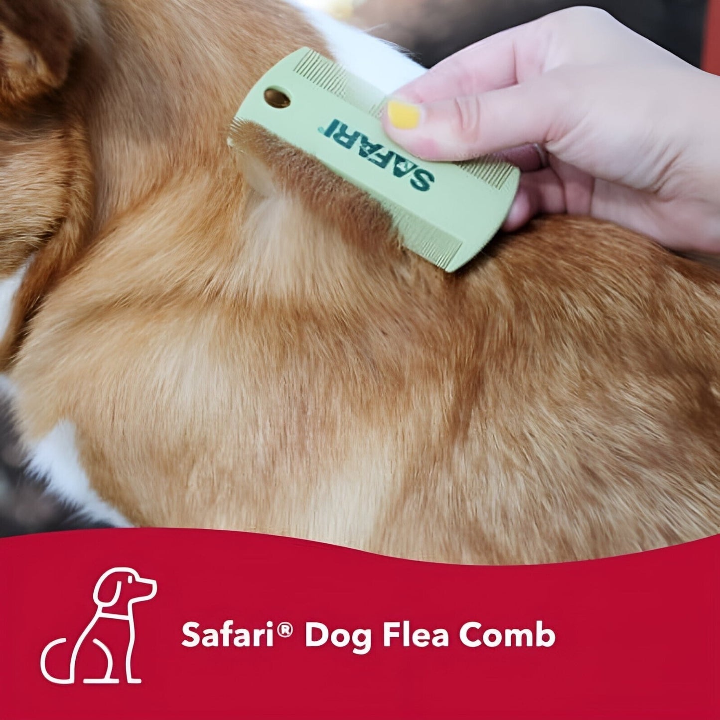 Safari Double Sided Flea Comb Pet Grooming for Dog, Puppy, Cat, Kitten