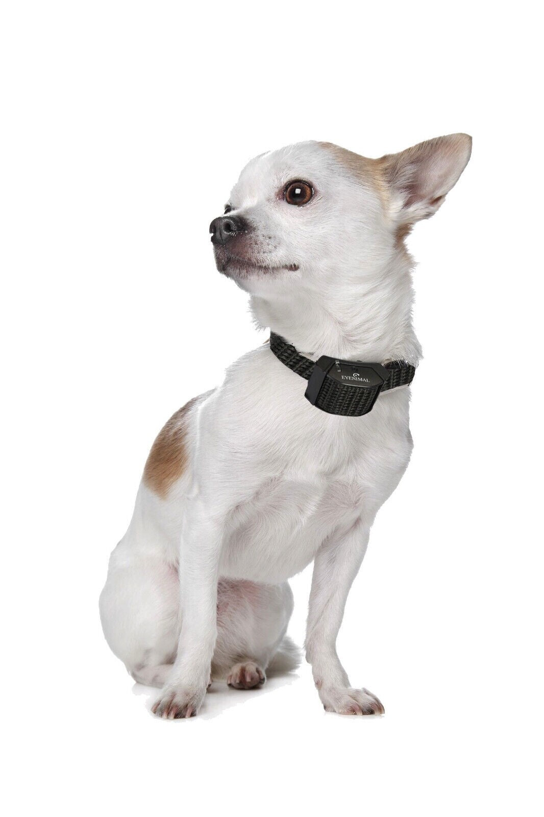 Eyenimal Miniature Bark Control Collar