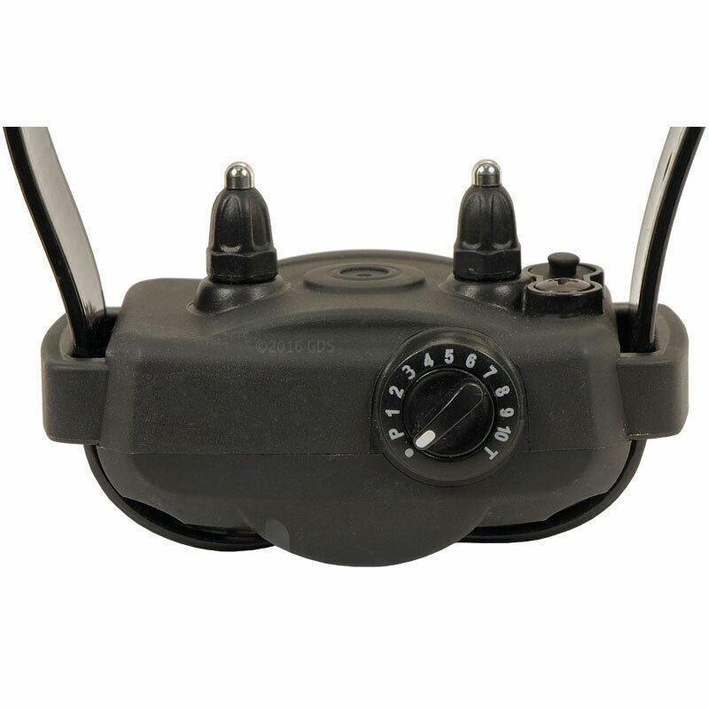 Dogtra YS600 High Powered No Bark Collar Medium to Large Breed Dogs