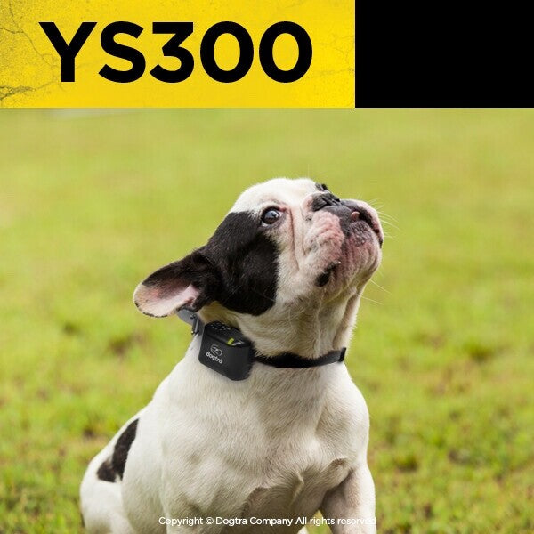Dogtra YS300 No Bark Dog Rechargeable Collar Shock Yapper Small to Medium Dogs