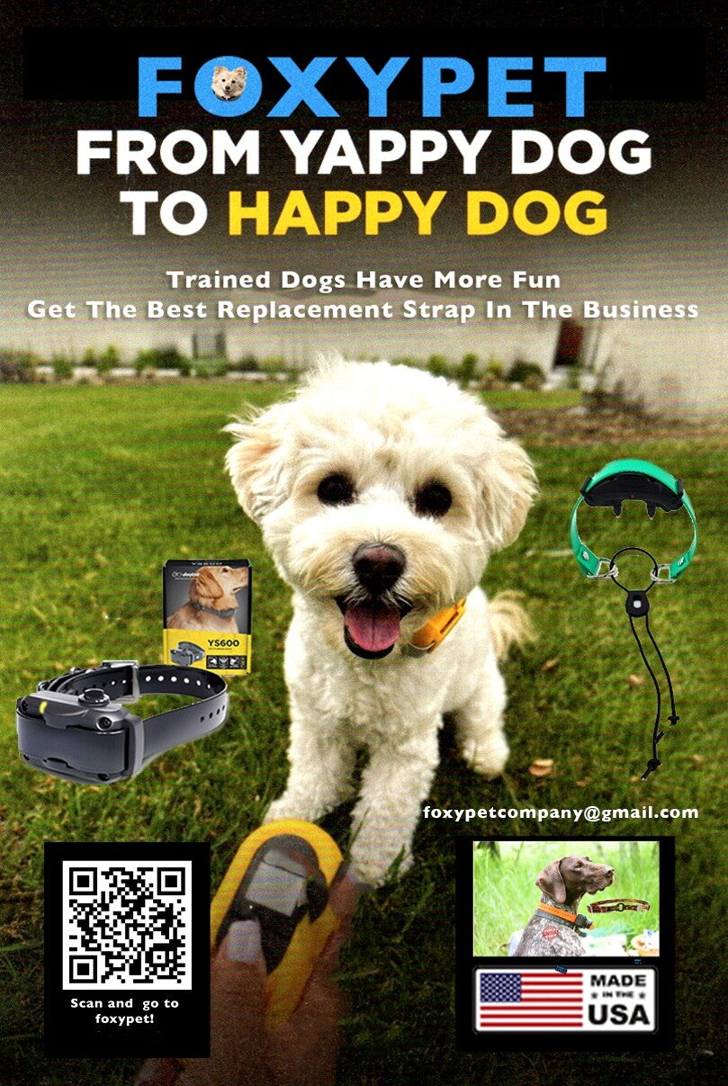 Dog Training Collar, 1 Receiver IPX7 Waterproof Shock Collars for Dog with Remote