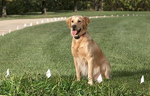 Replacement Biothane Strap Waterproof 3/4" Solid - Biothane Embossed Dog Straps Waterproof Strap for Dog Receivers by Foxy Pet Co