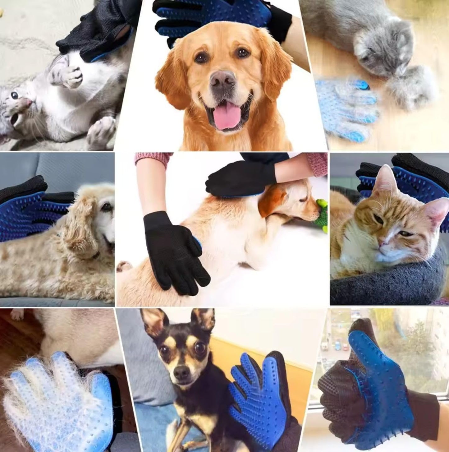 AALPET Pet Grooming Glove-Pet Hair Remover Glove- Perfect pet Cleaning Brush Glove- Perfect Washing Glove Brush of The Dog & pet for Short and Long Fur - 1 Pack (Right-Hand), Blue