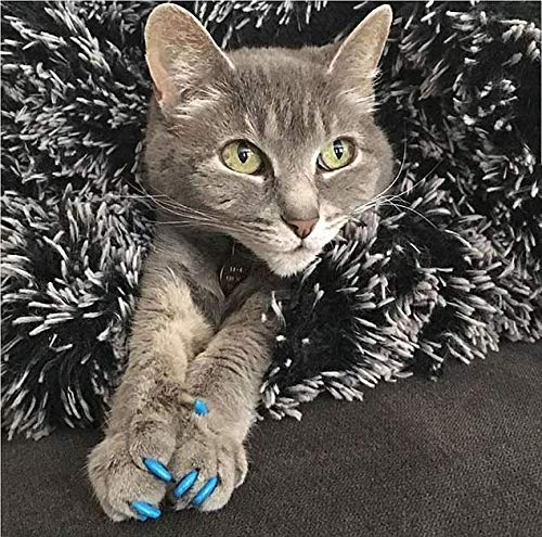 Foxy Pet Co Cat Play Toy Set, 3 Cat Dumbbells, Catnip Toy, Play Fish, Roll Around Toy