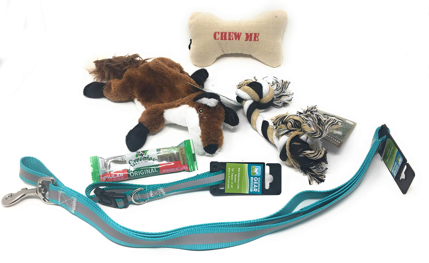 Guardian Gear Reflective Teal 4Ft Leash with Dog Collar and Toys & Treats Bundle