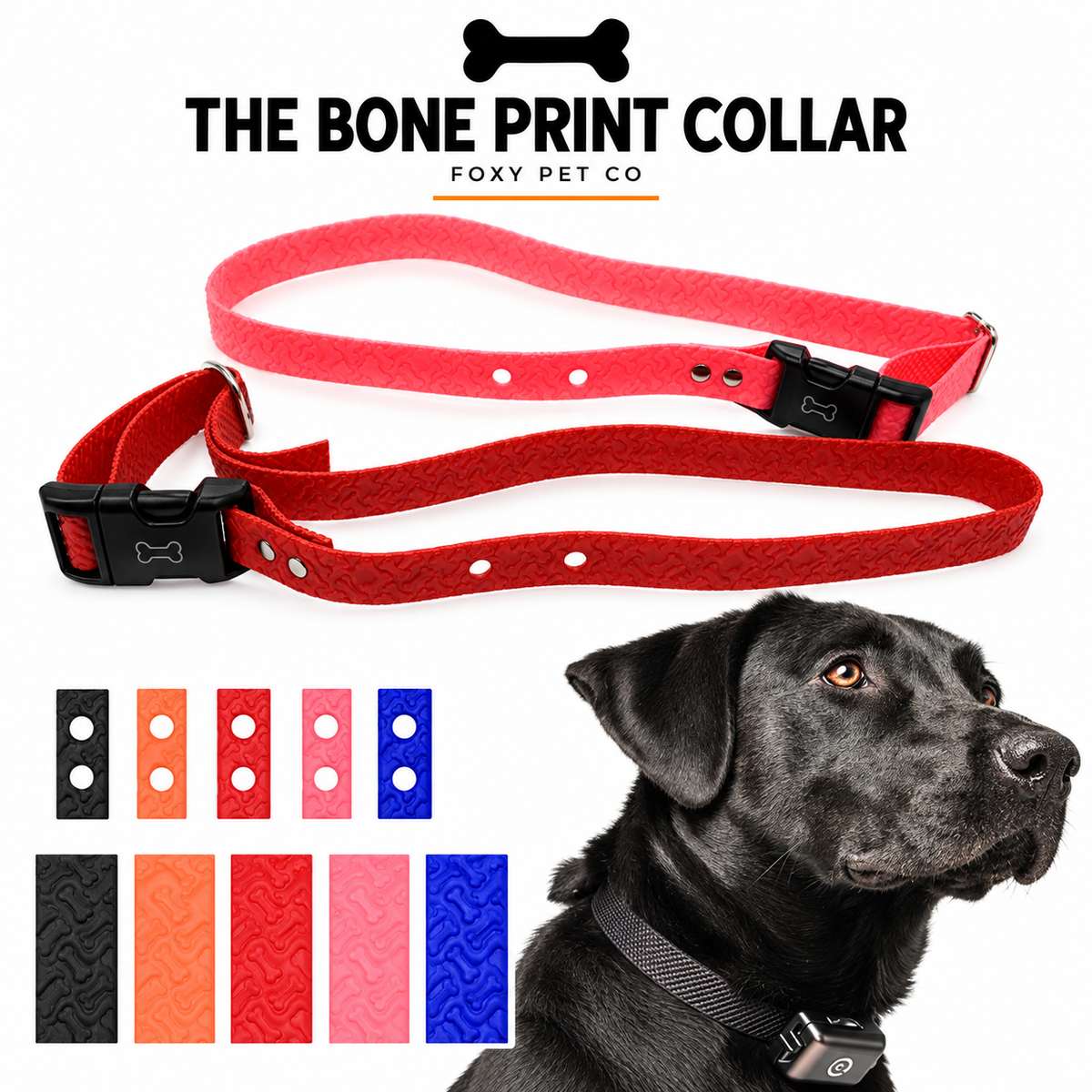 Foxy Pet Co 1" 2 Hole 1.25" Biothane Universal Bone Embossed Dog Strap- THE BONE PRINT COLLAR