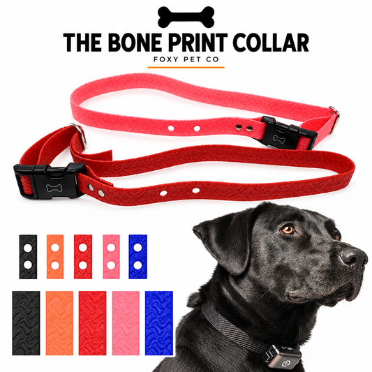 Foxy Pet Co ECollar Replacement Strap– Biothane - Adjustable – 2 Hole 1.25" Apart