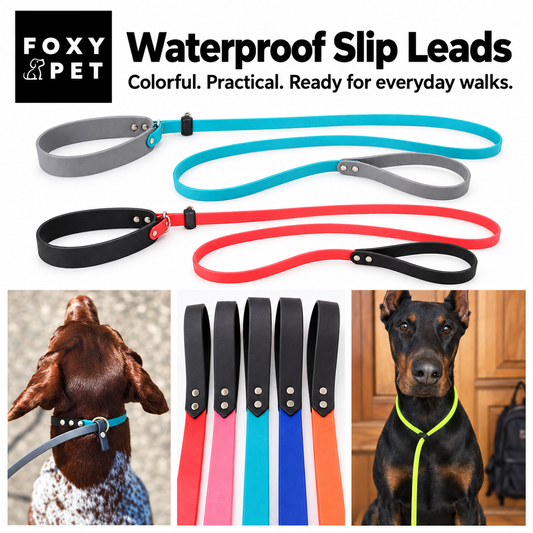 Biothane Waterproof No Pull Slip Dog Leash Collar