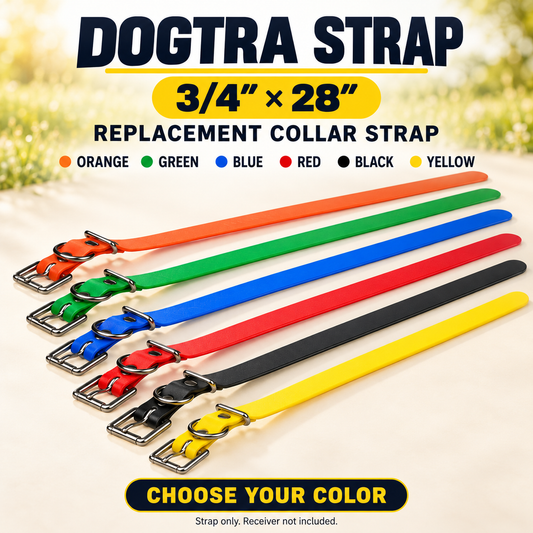 Dogtra Strap 3/4"X28"