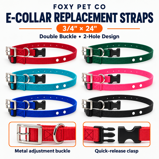 Foxy Pet Co E-Collar Replacement Strap – 3/4" x 24" – Double Buckle, 2-Hole (1 5/8")