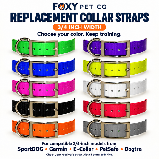 Dog Collar Strap 3/4" SportDOG 825, 1225, 1825 SportHunter by GVDS