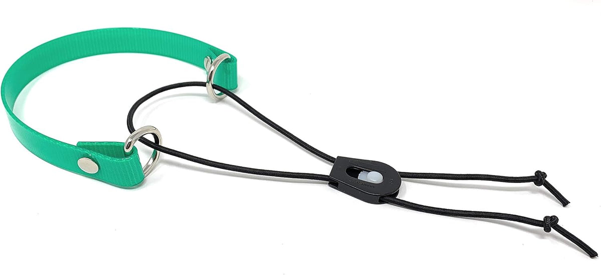 Foxy Pet Co 1" Surefit Waterproof E-Collar Replacement Strap (Green)