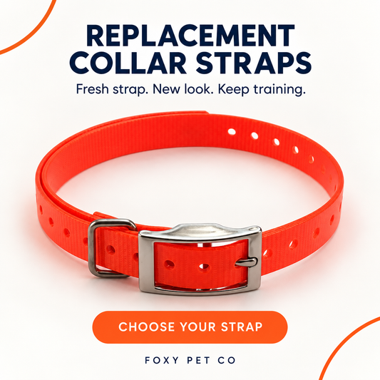 Garmin Compatible Replacement Collar Straps for TT10 or DC-50 (TT10 SMALL)