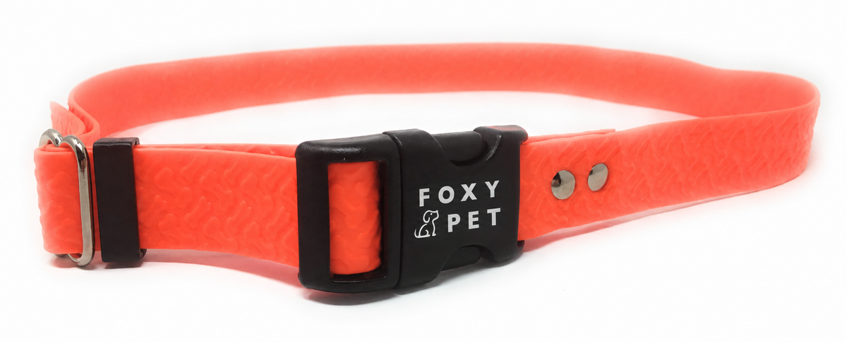 The Boneprint collar- Biothane Strap Waterproof 3/4" Solid - Biothane Embossed Dog Straps Waterproof Strap for Dog Receivers by Foxy Pet Co