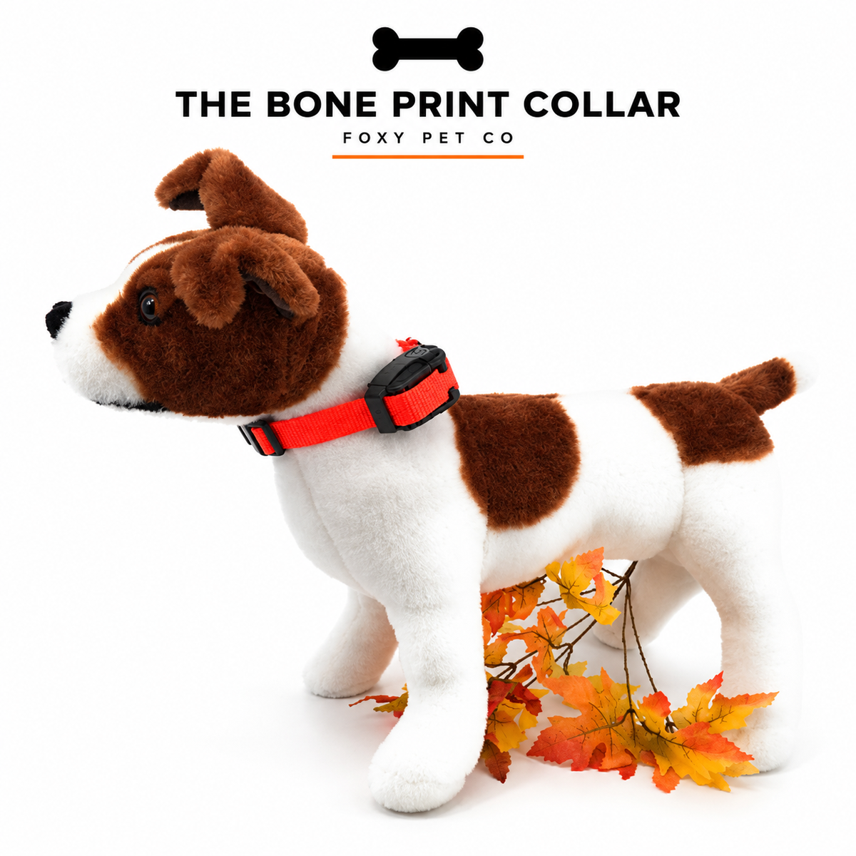 Foxy Pet Co 1" 2 Hole 1.25" Biothane Universal Bone Embossed Dog Strap- THE BONE PRINT COLLAR
