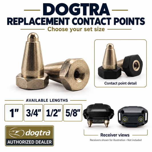 DOGTRA 3/4" Contact Points & 3/4" SPC High Flex Replacement Strap (Black)