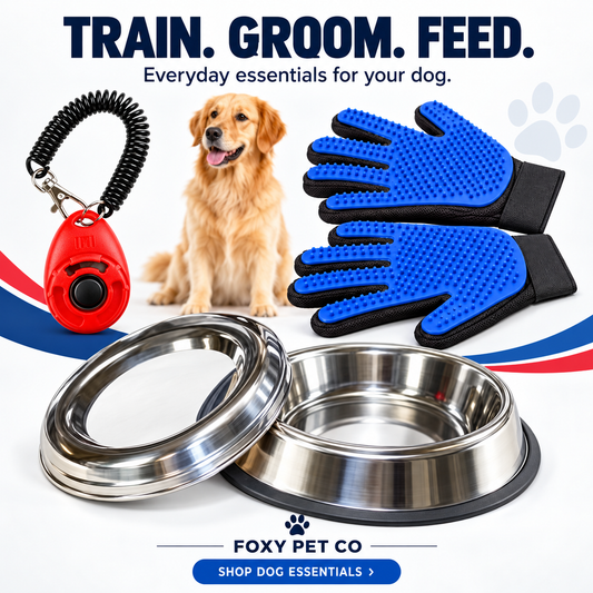 Foxy Pet Co Dog Water Bowl, Grooming Gloves and Clicker Gift Set, 32 oz, Large to XLarge