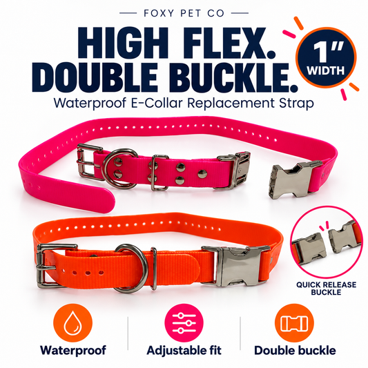 Foxy Pet Co 1" High Flex E-Collar Replacement Strap Double Buckle, Waterproof