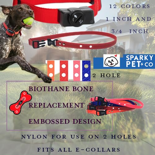 Foxy Pet Co 1" 2 Hole 1.25" Biothane Universal Bone Embossed Dog Strap