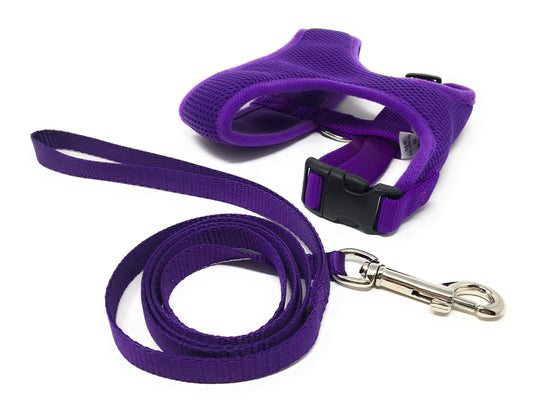 Foxy Pet Co Breezy Mesh Harness Plus Leash Dog Gift Set- 5 Dog Sizes (XS, Purple)