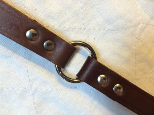Foxy Pet Co 3/4" W x 16" Long Supple, Durable Leather Dog Collar with O Ring, Brown