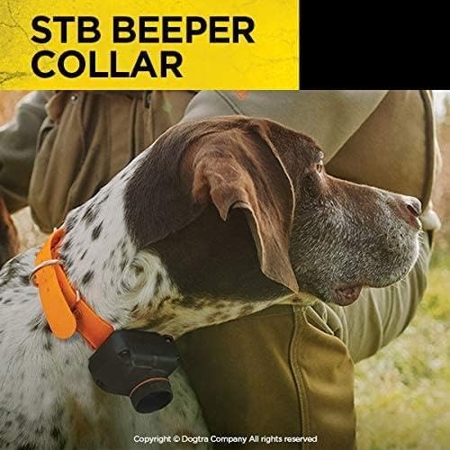 Dogtra STB Beeper Collar Beeper Version Hunting Dog Collar for Outdoor Upland Gun Dog