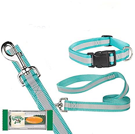 Guardian Gear Reflective Bluebird Large Dog 6 FT. Leash/14-20 Collar Set with Fr