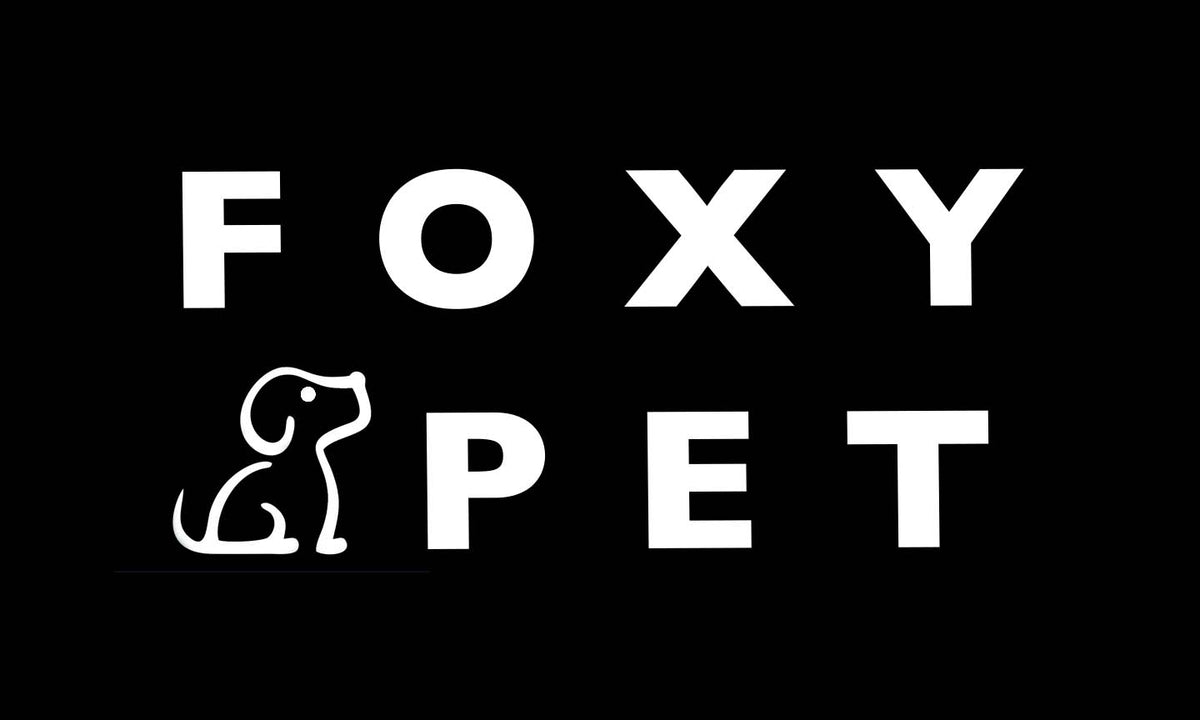 Foxy Pet Co’s Durable nylon replacement strap. The silver reflective strip adds visibility when illuminated in low light.