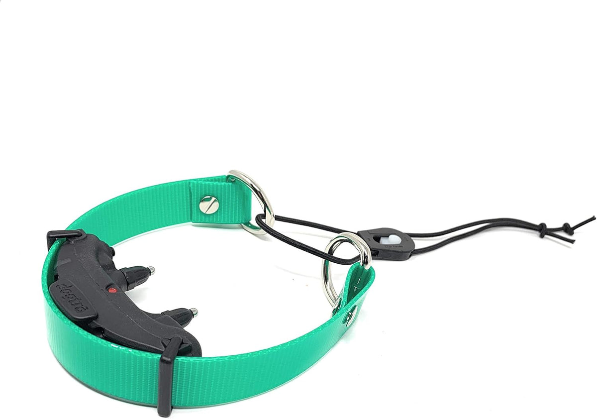 Foxy Pet Co 1" Surefit Waterproof E-Collar Replacement Strap (Green)